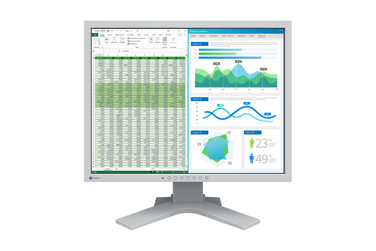 EIZO | FlexScan S2134